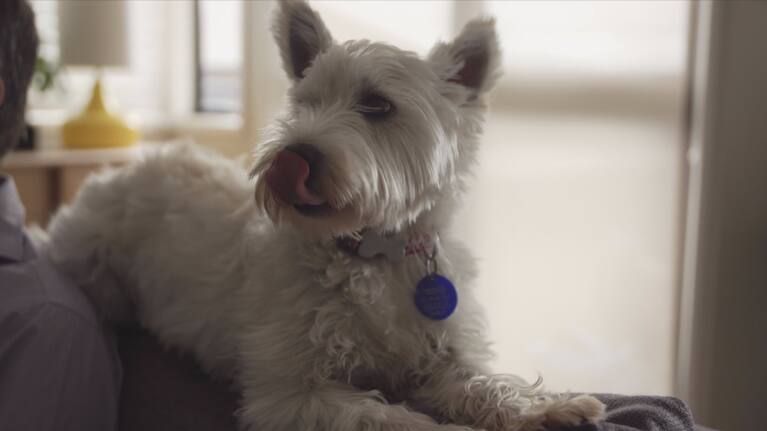 Digby the dog never misses an episode.