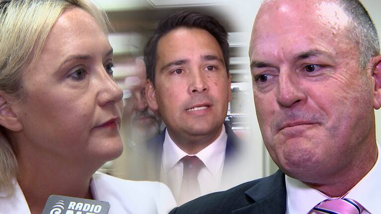 In a big move Simon Bridges announced two MPs were vying to be leaders.