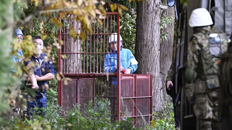 A box trap which Japan Ground Self-Defence Force members set up to capture bears in Kazuno, Akita prefecture, northern Japan. (Source: Kyodo News via AP)