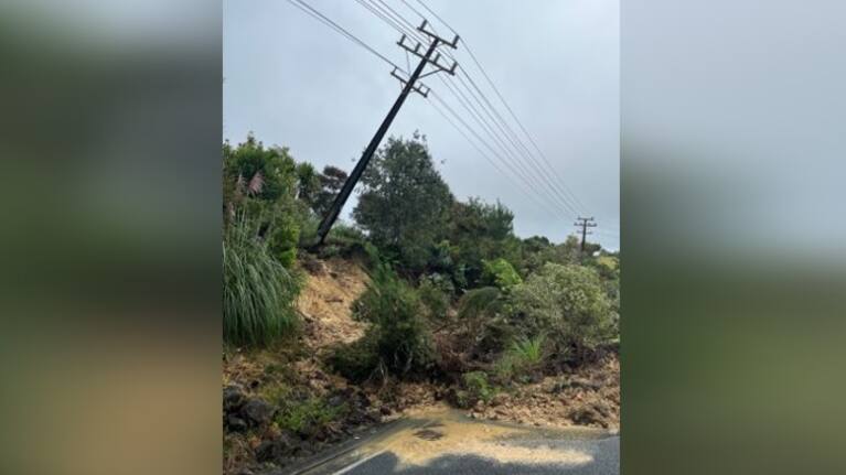 A damaged power line in Coatesville.