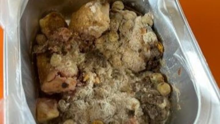 A lunch provided to Haeata Community Campus in Christchurch.