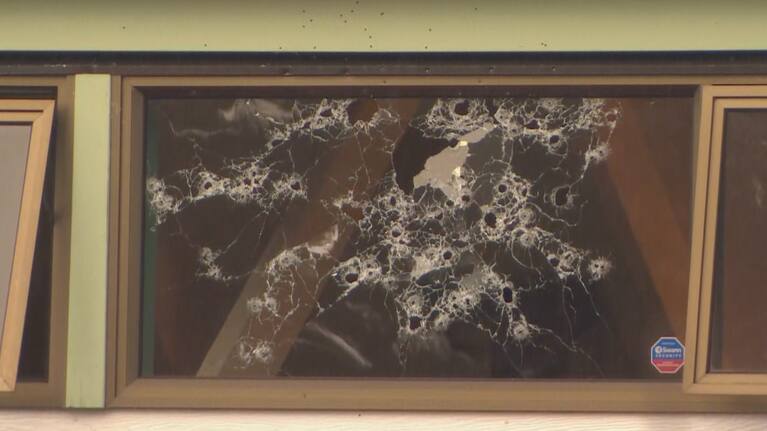 A window of an Auckland home has been left riddled with bullet holes after a shooting on Tuesday night.
