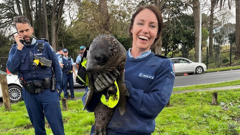 Acting Sergeant Hannah with a seal pup which prompted numerous calls from the public.