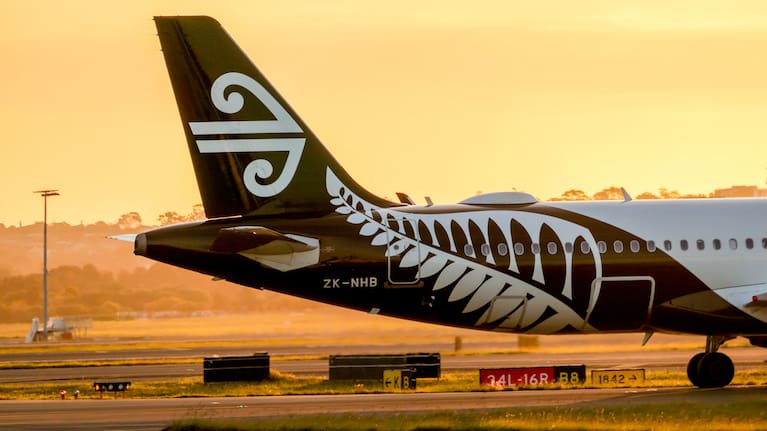 An Air New Zealand plane (file image).