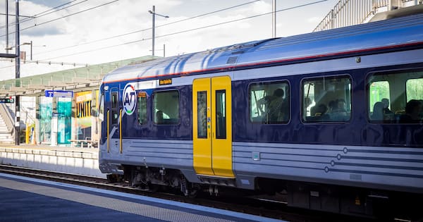 Auckland couple try to board train with trolley of stolen groceries