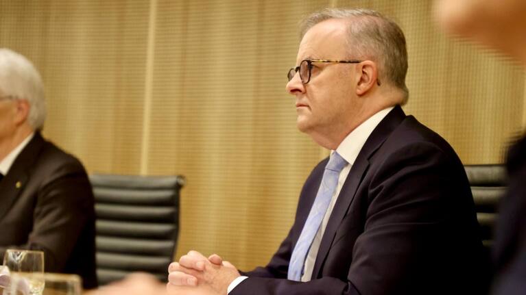 Anthony Albanese in December 2023 (file image).