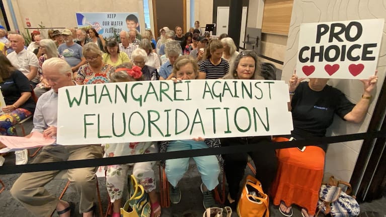 Anti-fluoride campaigners at today's Whangārei District Council meeting.