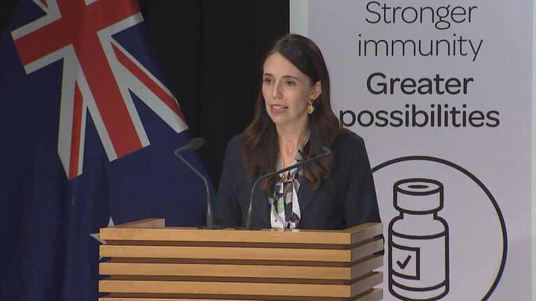 The PM says foreign influence has been a major factor in the Parliament protest.