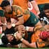 Ardie Savea is held up over the line by the Wallabies defence in Sydney.