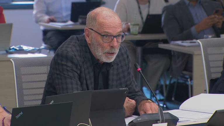 Auckland Mayor Wayne Brown (file image).