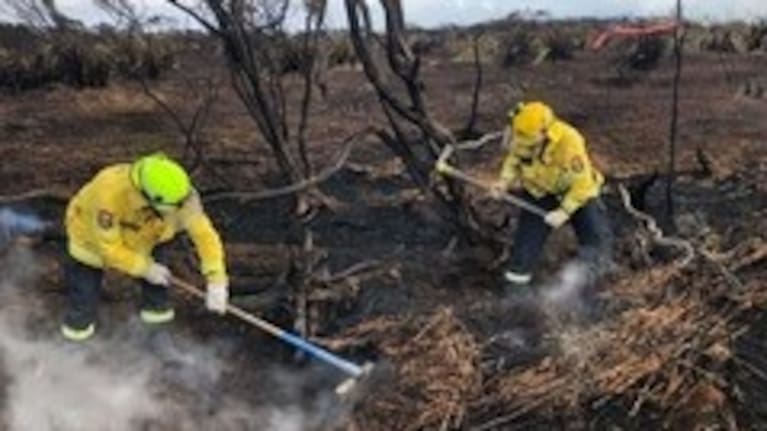Firefighters continue efforts to contain Awarua Bay fire.