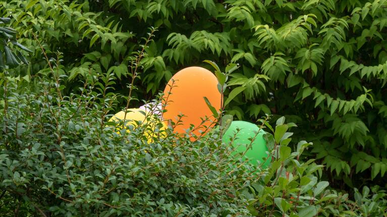 The ban includes all types of balloons such as helium, biodegradable, latex and water balloons.