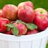 Stop the rot with these tips for storing fruit and vegetables