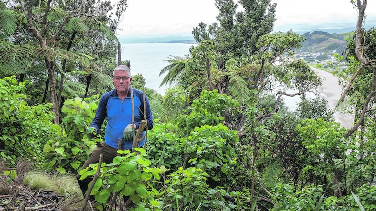 Brent Sheather spends much of his free time maintaining the native bush that surrounds his home and is fed up with finding the remains of cleared native plants.