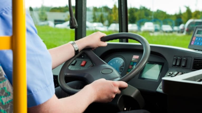 A bus driver at the wheel.