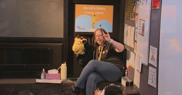 Calls for more school counsellors as mental health need soars