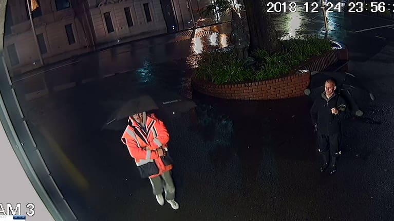 CCTV footage of thieves who stole a bronze gnome statue from outside Gow Langsford Gallery in Auckland.