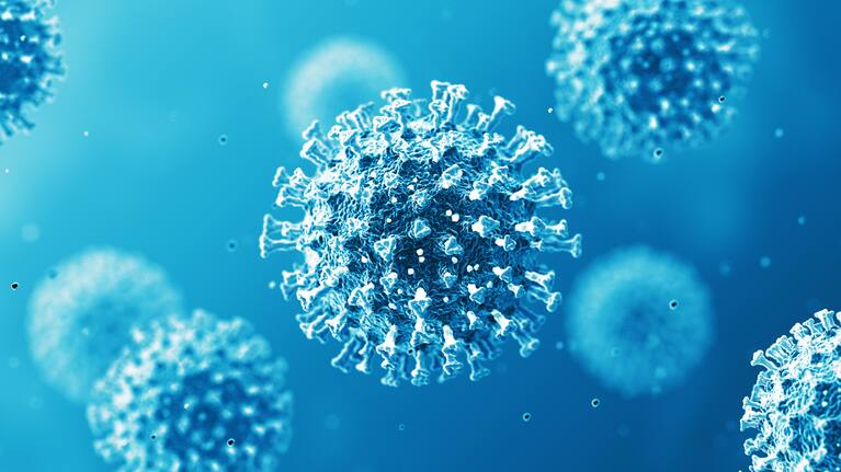 A render of the Covid-19 virus. (file image)