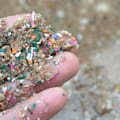 Microplastic waste found within the seaside sand.