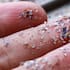 Close up side shot of microplastics.