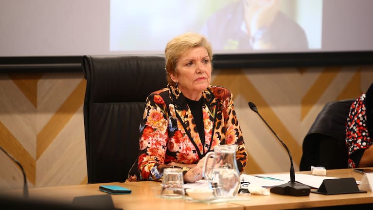 Commission chair Anne Tolley.