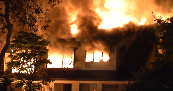 Bodies recovered after fatal Auckland house fire as probe continues