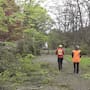 Crews woking to clean fallen trees from Queens Park in Invercargill.