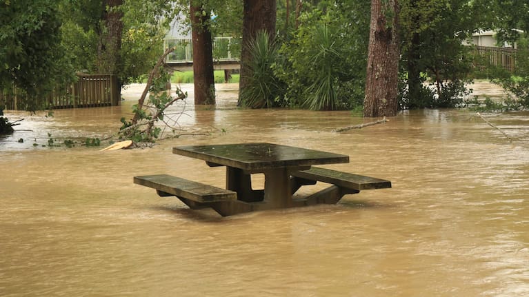 Cyclone Gabrielle flooding in Kawakawa's Johnson Park on February 13, 2023.