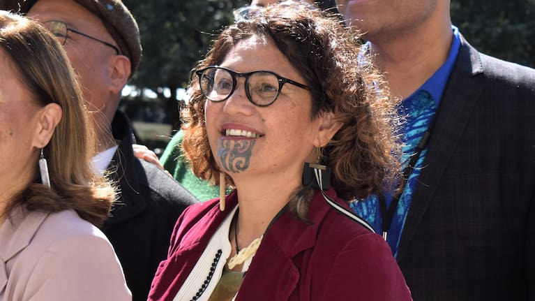 Darleen Tana at Parliament on October 18, 2023 (file image).