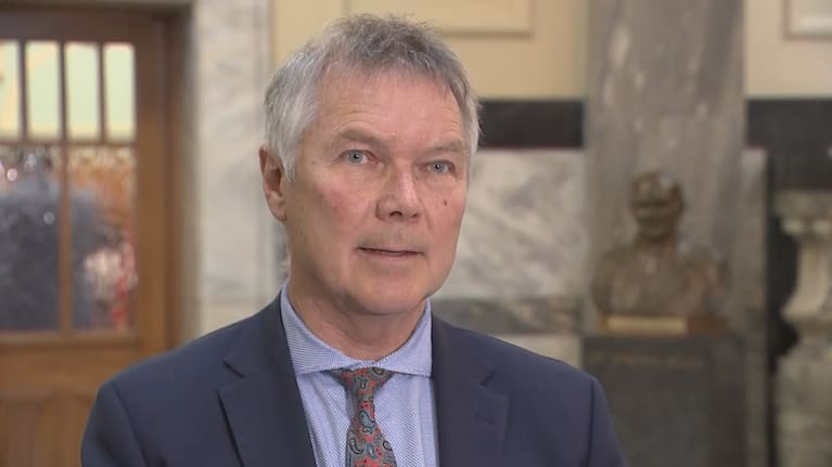 Shadow attorney general and spokesperson for foreign affairs and electoral reform, David Parker.