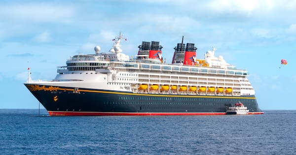 Passenger presumed dead after going overboard from cruise ship en route to Auckland