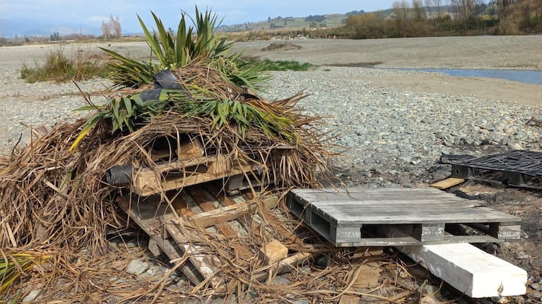 Dumping on the Waimea River berm has been labelled as "disgusting" by a council officer.