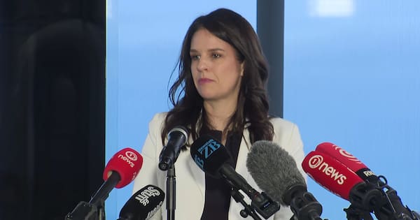 Education Minister cut Māori words from future junior books, documents show