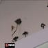 At Sommerville Special School in Auckland mushrooms are growing on the walls and classrooms are mouldy and rotting.