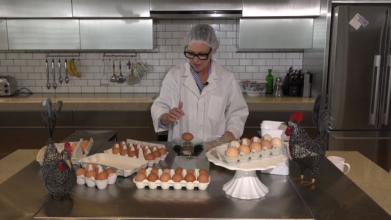Fair Go puts the size of eggs to the test