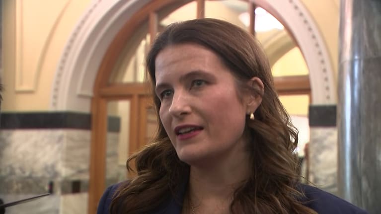 Nicola Willis speaks to media at Parliament on May 6.