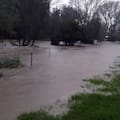 Flooding at Roy Ogle's Muir Place property in May 2023. Photo / Supplied