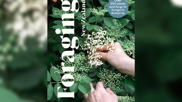 Foraging New Zealand is Langland's ultimate guide to unearthing more than 250 tasty wild plants.