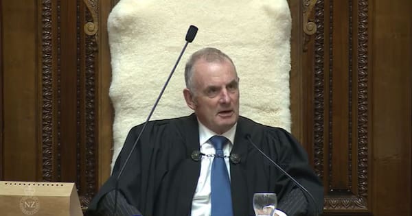 ‘Carnival’s over’: Peters calls Mallard’s early exit as Irish Ambassador