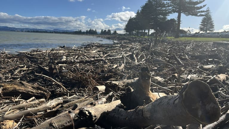 Gisborne town beaches are covered in woody debris after last week's severe weather event.