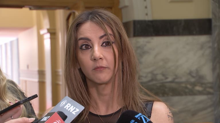 Green MP Golriz Ghahraman speaking to media.