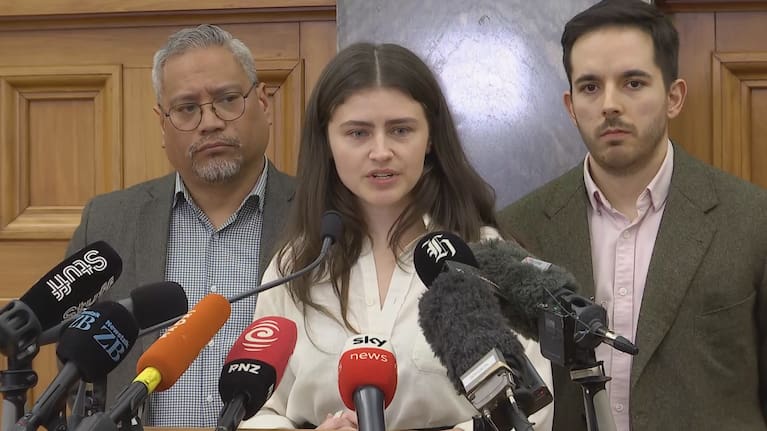 At a press conference last week Chlöe Swarbrick said it was clear Tana's behaviour fell short of that expected of an MP, and it was their "very strong view" she had misled her and co-leader Marama Davidson.