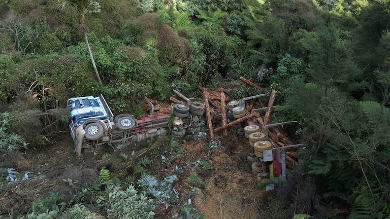 Greg Stevens' truck rolled down a bank after it tried to negotiate a tight corner with a full load of logs.