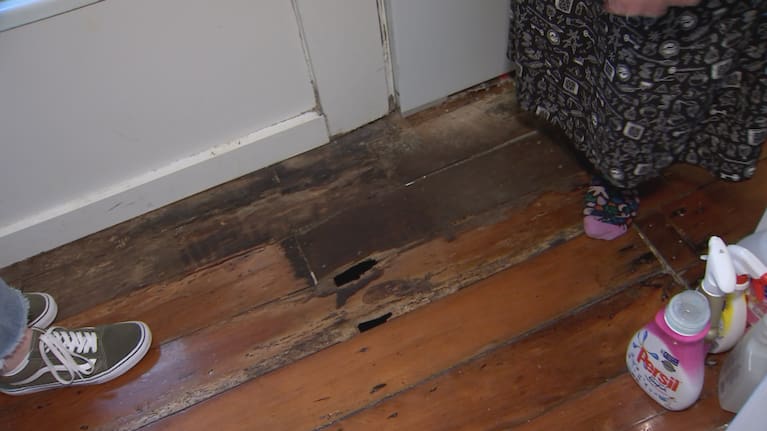 Holes on the floor of the bathroom in a Wellington flat.