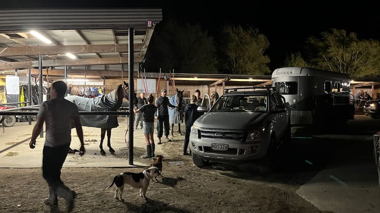 Horses being evacuated from Woodend Beach as a raging fire threatens the community.