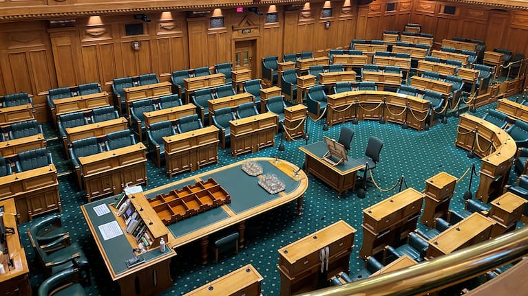 The waka-jumping law is supposed to stop MPs from leaving their party in the middle of a parliamentary term