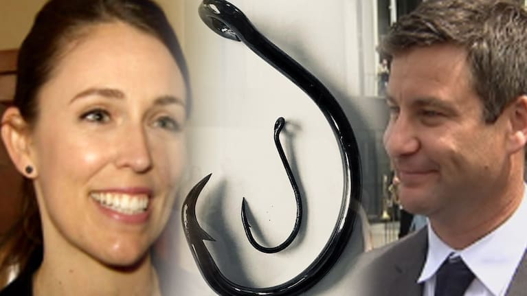 Jacinda Adern and her partner, Clarke Gayford, are expecting their first child this year.