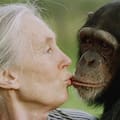 Jane Goodall kisses Tess, a female chimpanzee, at the Sweetwaters Chimpanzee Sanctuary near Nanyuki, north of Nairobi in 1997.