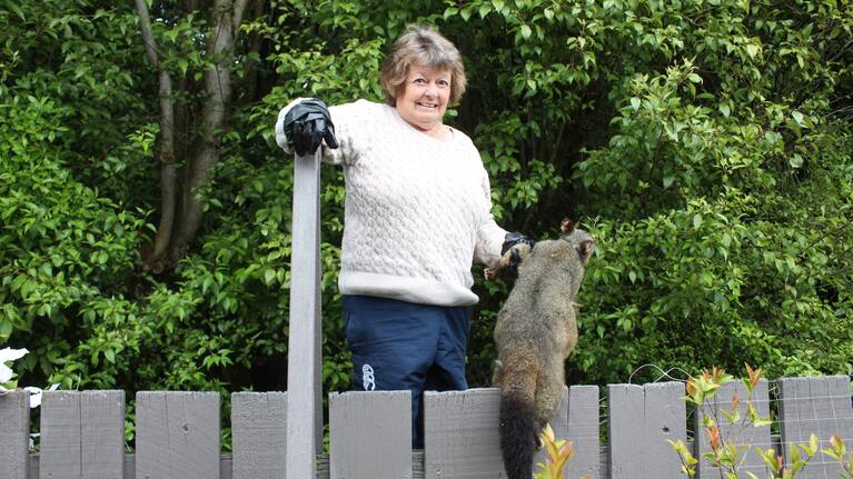 Joan Scarlet holds one of her caught possums.