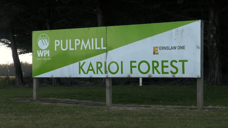 Karioi Pulpmill (file image).